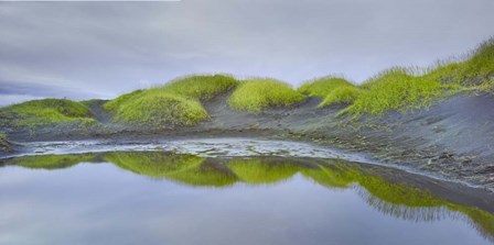 Prados Verdes by Moises Levy art print