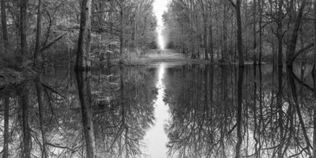 Suwanne Reflection Pano BW by Moises Levy art print