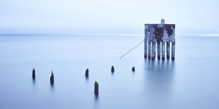 My Pet Panoramic by Moises Levy art print