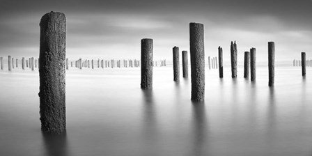 Army 2 Pano by Moises Levy art print