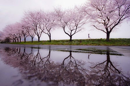 Rain of Spring by Kouji Tomihisa art print