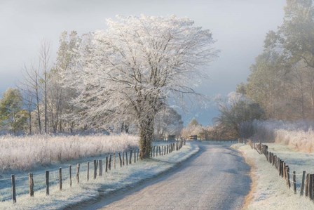 A Frosty Morning by Chris Moore art print