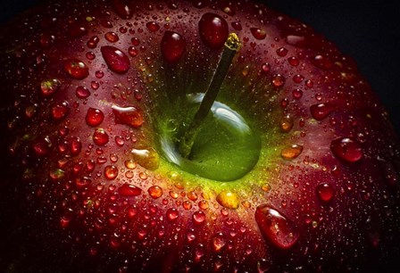 Red Apple by Aida Ianeva art print