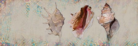 Shells by Sarah Butcher art print
