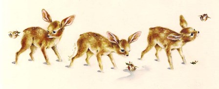 Fawns by Peggy harris art print
