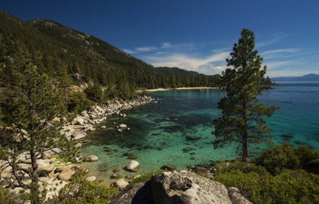 Nature Walk by Natalie Mikaels art print