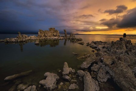 Transition by Natalie Mikaels art print