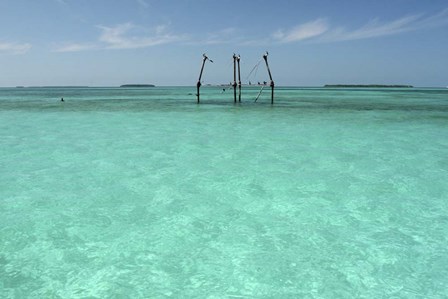 Hemingway's Platform by Robert Goldwitz art print