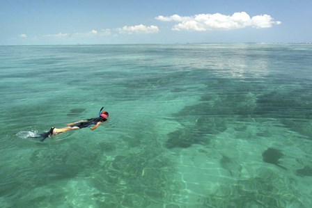 Snorkeler by Robert Goldwitz art print