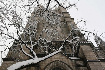 Branch Snow Cathedral 9688 by Robert Goldwitz art print