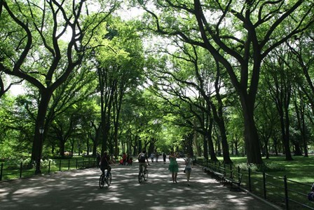 Central Park Mall Summer by Robert Goldwitz art print