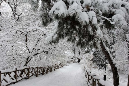 Central Park Path Deep Snow by Robert Goldwitz art print