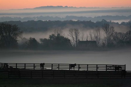 Horse Farm Rose Dawn by Robert Goldwitz art print
