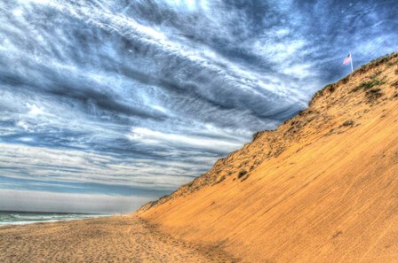 Cape Cod Dune And Colors by Robert Goldwitz art print