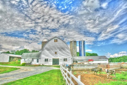 Dairy Barn by Robert Goldwitz art print