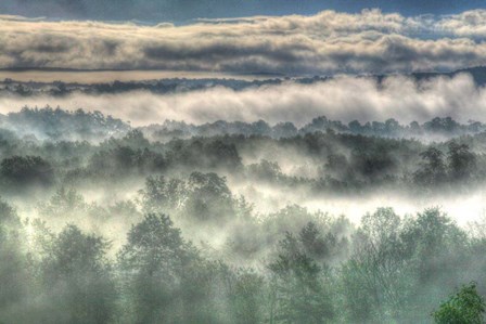 Gray Mist by Robert Goldwitz art print