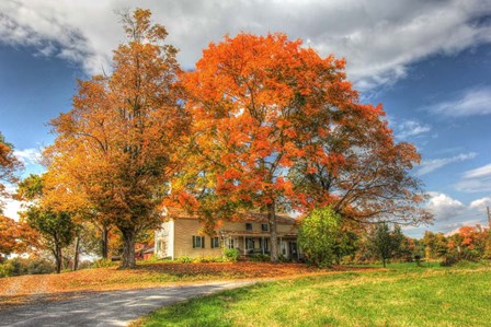 Home Sweet Home by Robert Goldwitz art print