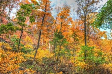 Inwood Park Horizontal by Robert Goldwitz art print