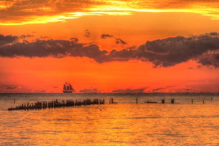 Old Pier And Gull After Sunset by Robert Goldwitz art print