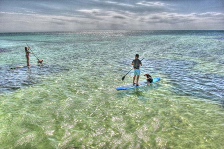 Paddle Board Pups by Robert Goldwitz art print