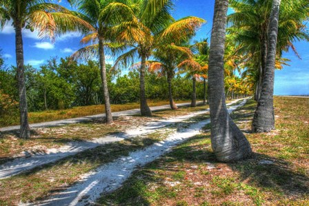 Palm Road by Robert Goldwitz art print