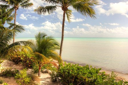 Quiet Beach by Robert Goldwitz art print