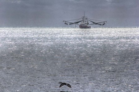 Shrimper And Cormarant by Robert Goldwitz art print
