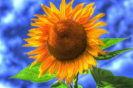 Singular Beauty by Robert Goldwitz art print