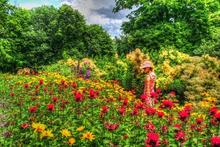 Summer Garden by Robert Goldwitz art print