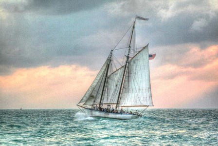 The Appledore by Robert Goldwitz art print