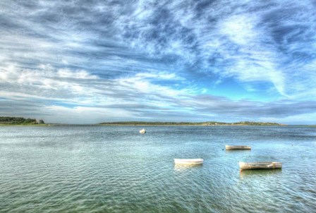 Three Dinks Horizontal by Robert Goldwitz art print