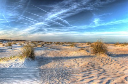 Two Color Florida Sand by Robert Goldwitz art print