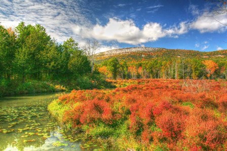Whitecliffs by Robert Goldwitz art print