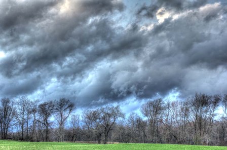 Back 20 1 by Robert Goldwitz art print