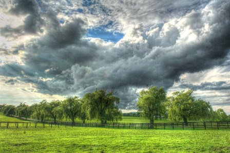 Back 20 Clouds Sweep by Robert Goldwitz art print