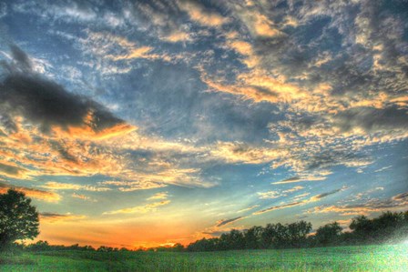 Back 20 Sunset 2 by Robert Goldwitz art print