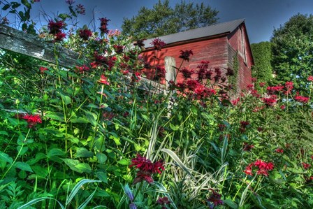 Barn And Minarda 3 by Robert Goldwitz art print
