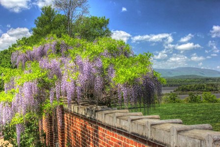 Blithwood 4 by Robert Goldwitz art print