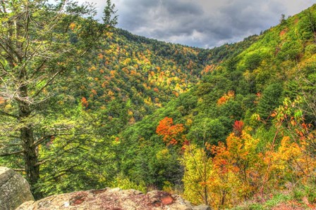 Catskills Hollow by Robert Goldwitz art print