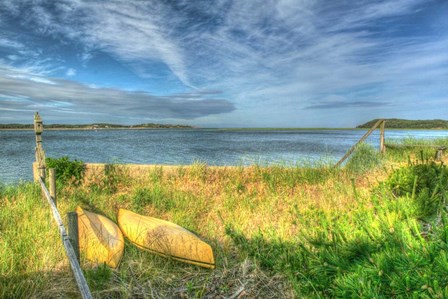 CC Yellow Canoes by Robert Goldwitz art print