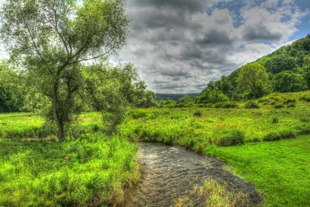 Dutchess County Stream And Meadow by Robert Goldwitz art print