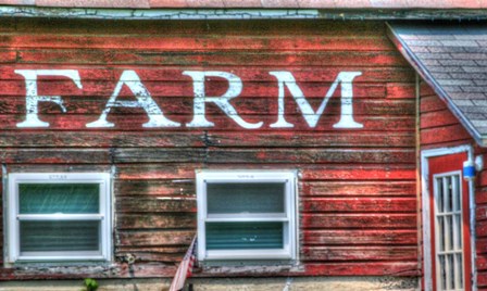 Farm Lettering 2 by Robert Goldwitz art print