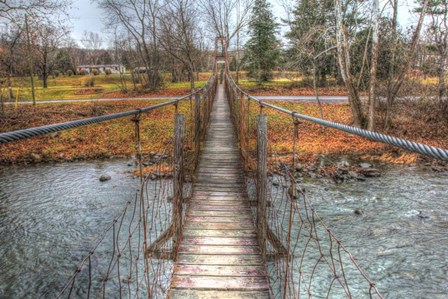 Footbridge by Robert Goldwitz art print