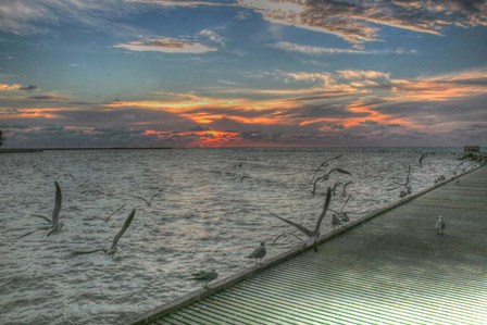 Key West Sunrise Gulls and Pier by Robert Goldwitz art print
