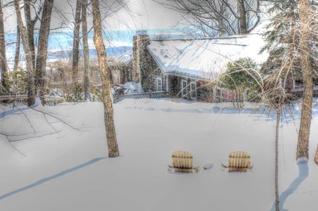 Winter Adirondak Chairs by Robert Goldwitz art print