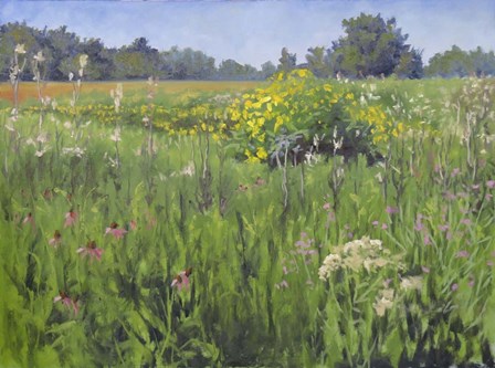 Summer Meadows by Rusty Frentner art print