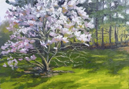 Magnolia by Rusty Frentner art print