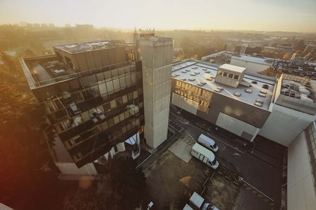 Fall by Sebastien Lory art print