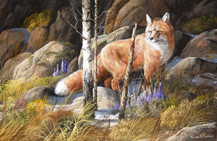 Brief Glimpse Through Cover by Trevor V. Swanson art print