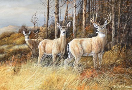 Trio by Trevor V. Swanson art print